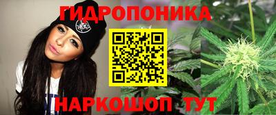скорость Заволжье