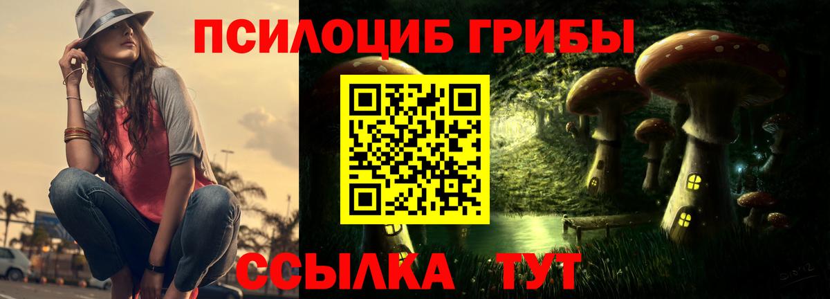 Подольск  Псилоцибиновые грибы MAGIC MUSHROOMS  Псилоцибиновые грибы мицелий  Вход с VPN 